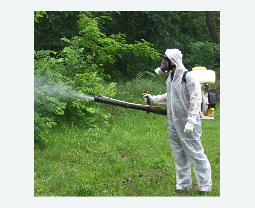 обработка территории от клещей в Карачаевске