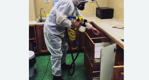 Уничтожение насекомых в квартире. Карачаевск