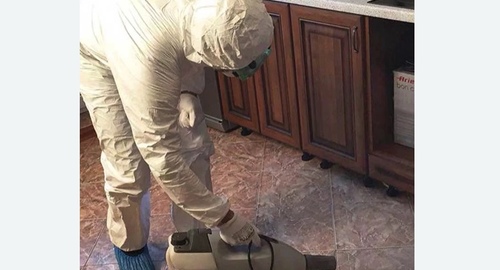 Уничтожение тараканов в квартире. Карачаевск