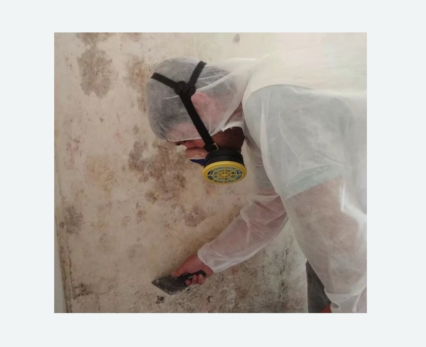 Обработка стен от плесени в Карачаевске