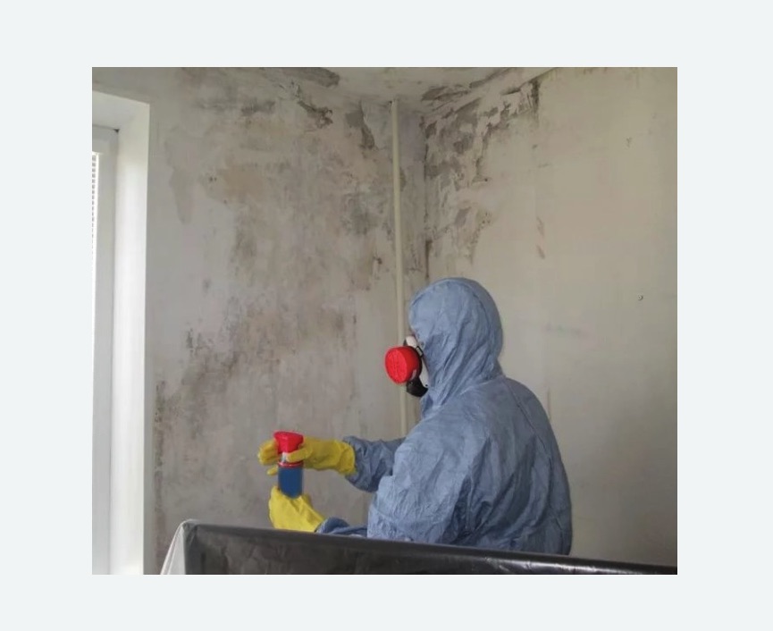 Удаление плесени в квартире в Карачаевске
