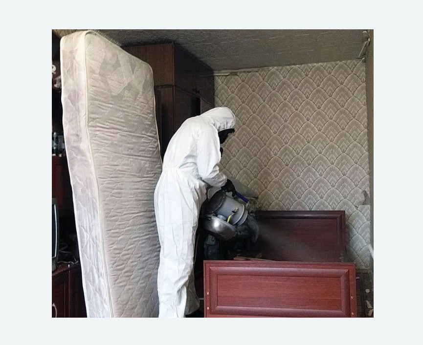 дезинфекция от клопов в Карачаевске