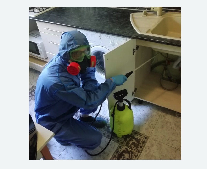 обработка от муравьев в квартире в Карачаевске