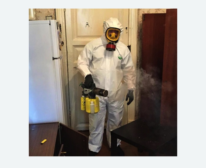 уничтожение муравьев в квартире в Карачаевске